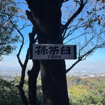 ピークハントもそろそろ飽きてきて空腹になってきた