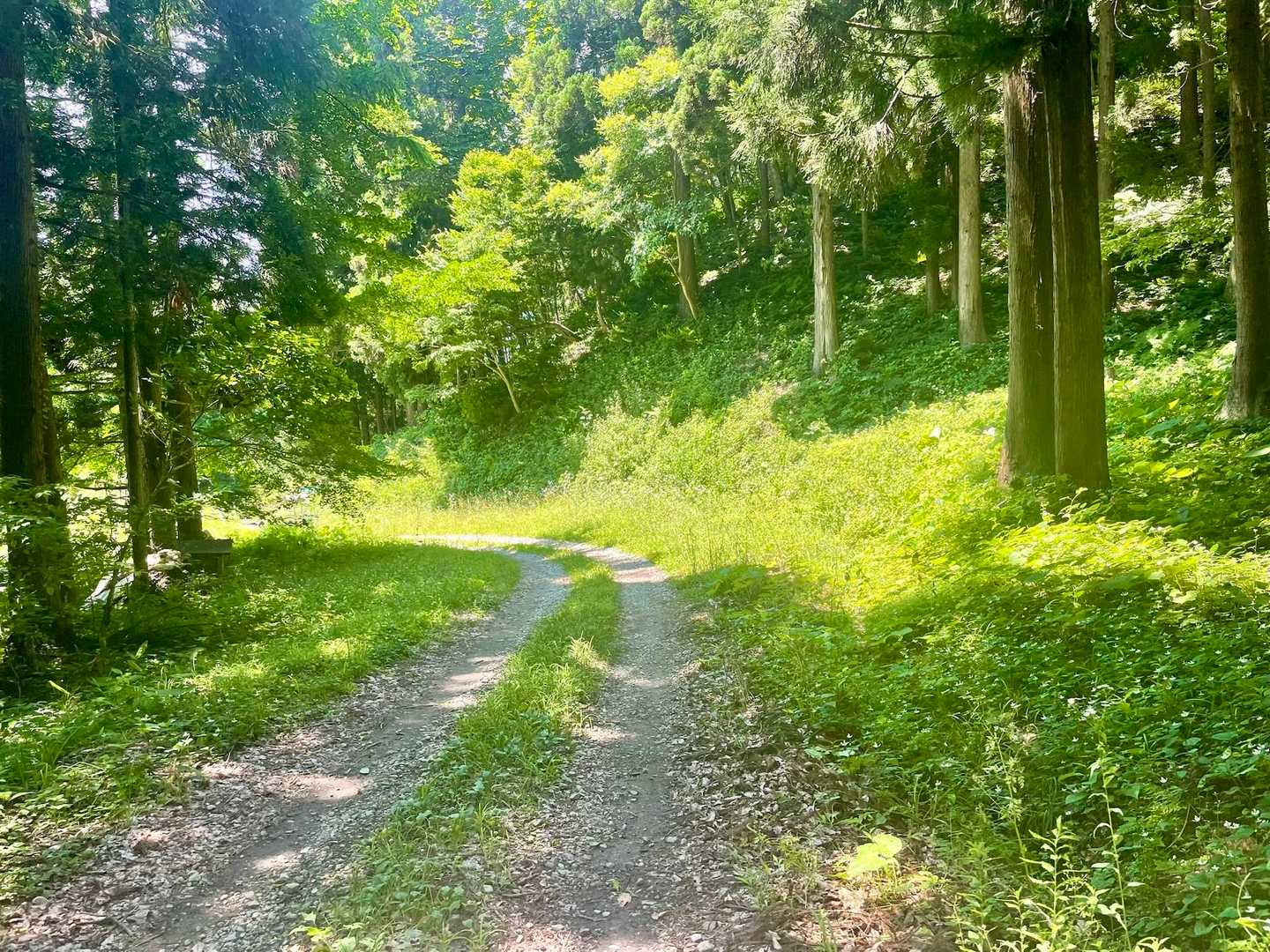表は車道〜