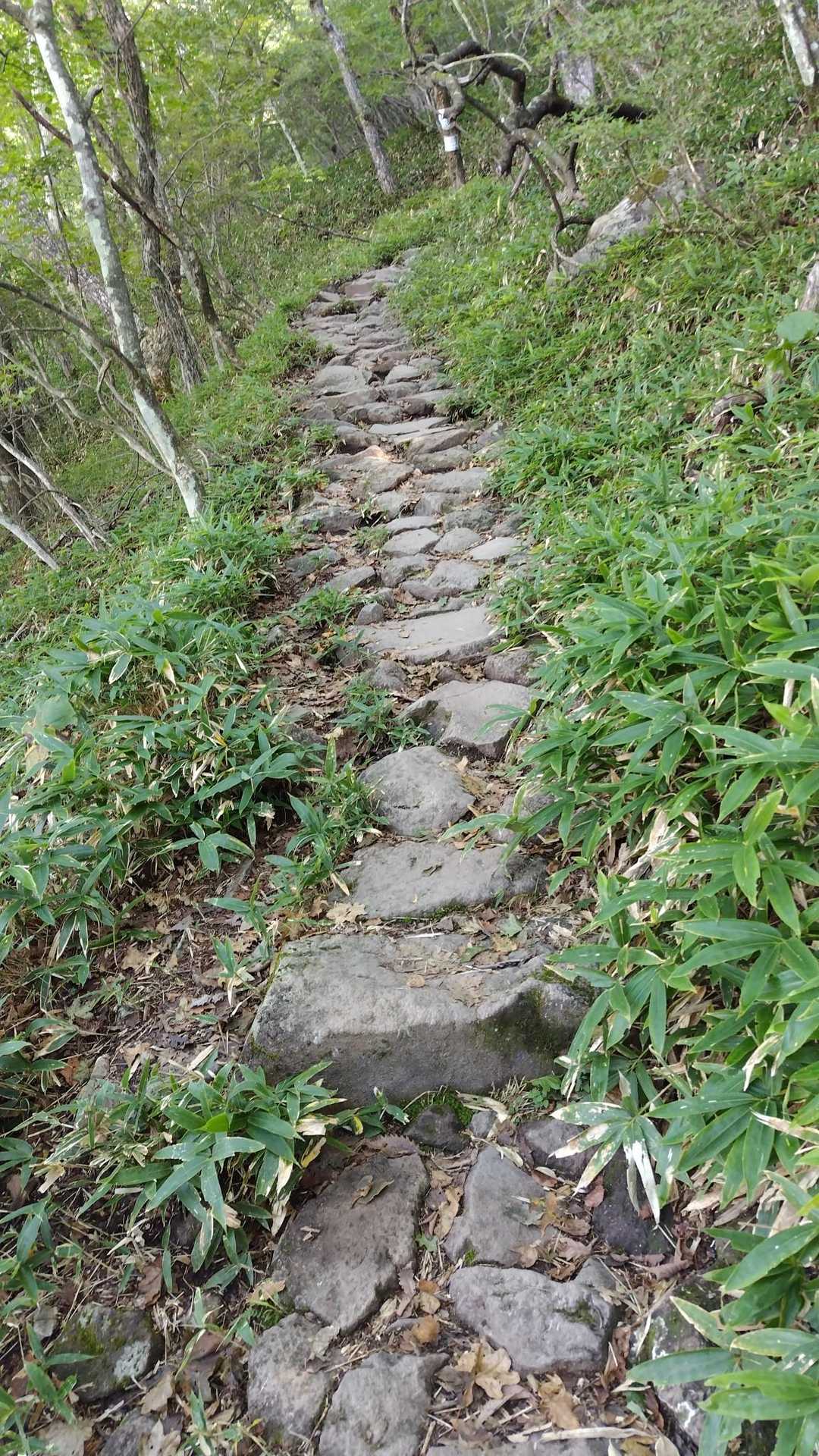 上高地思い出す😍