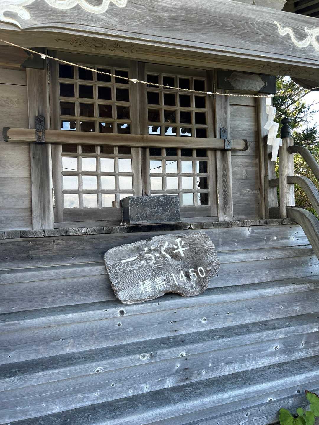 周りはちょっと荒れてます🌱