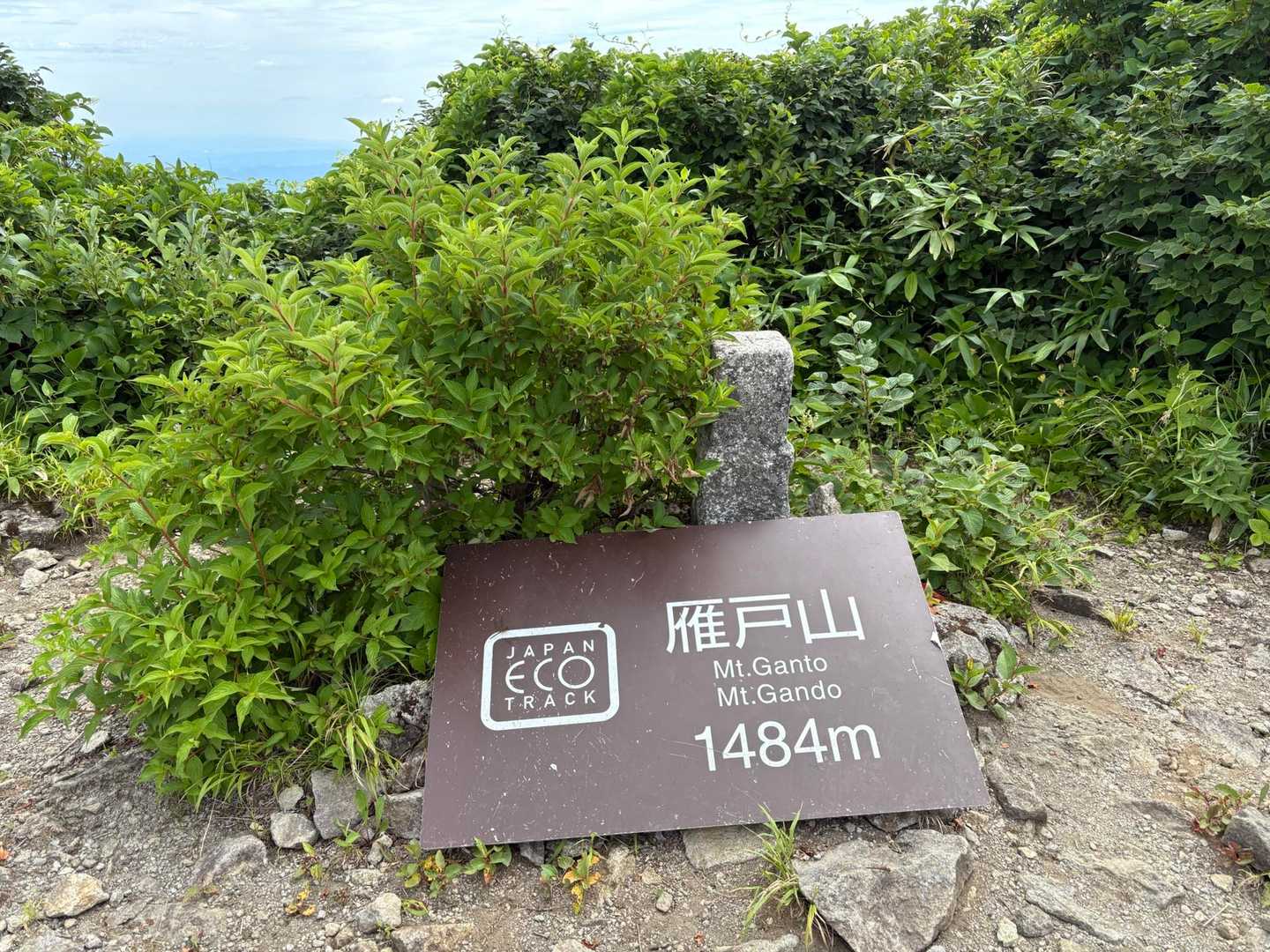 登頂🚩
日差しは☁️のおかげで適度に遮られてて過ごしやすい😊