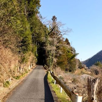 舗装路を歩いてくよ🚶‍♀️‍➡️