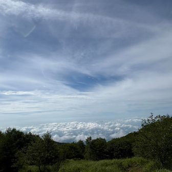 関東平野上に雲海が！