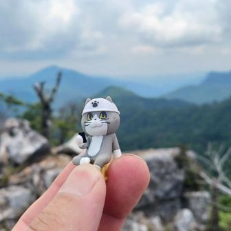 五葉岳山頂と休憩中現場猫
