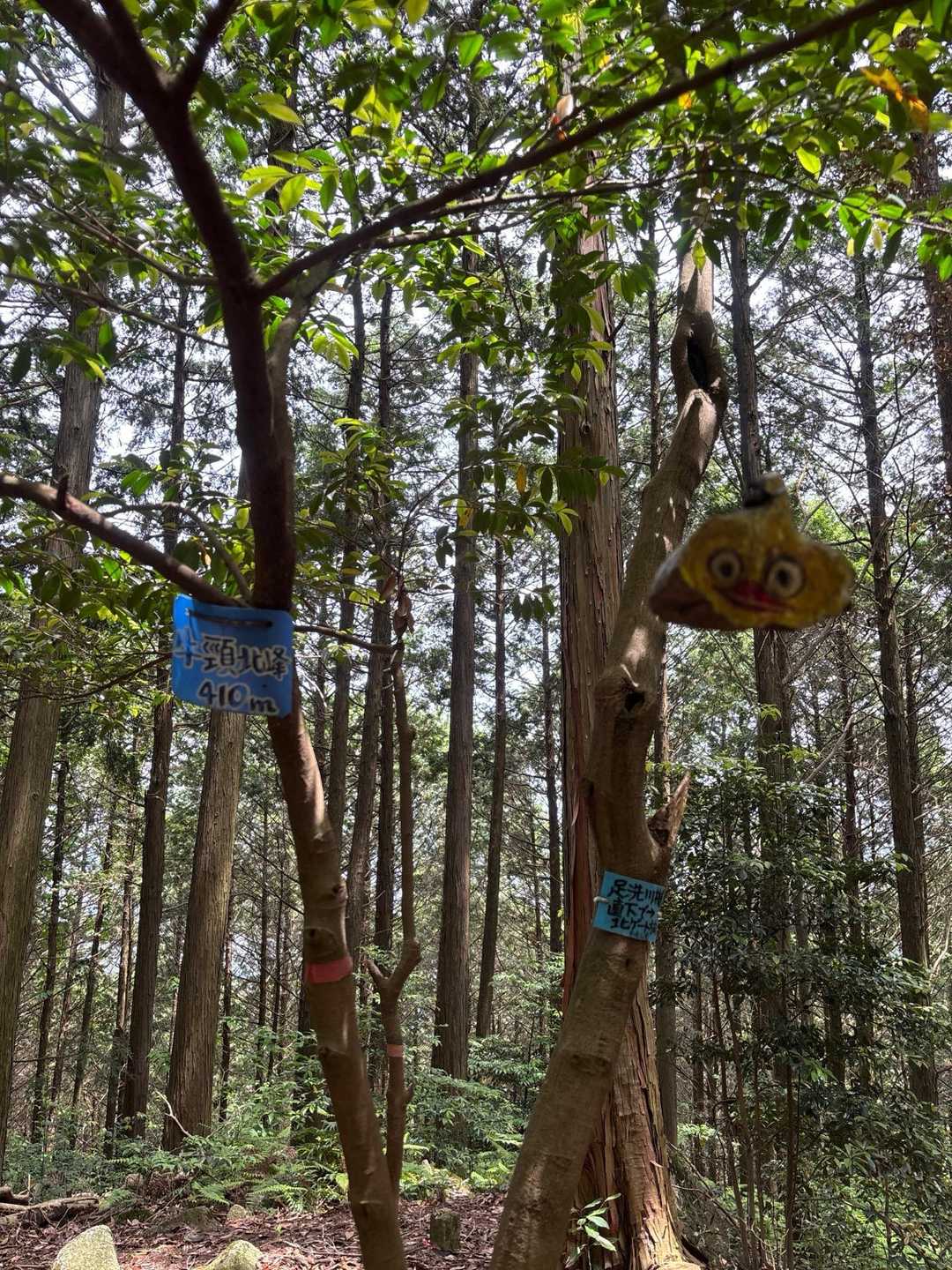 牛頸山入口-牛頸山 周回コースの写真