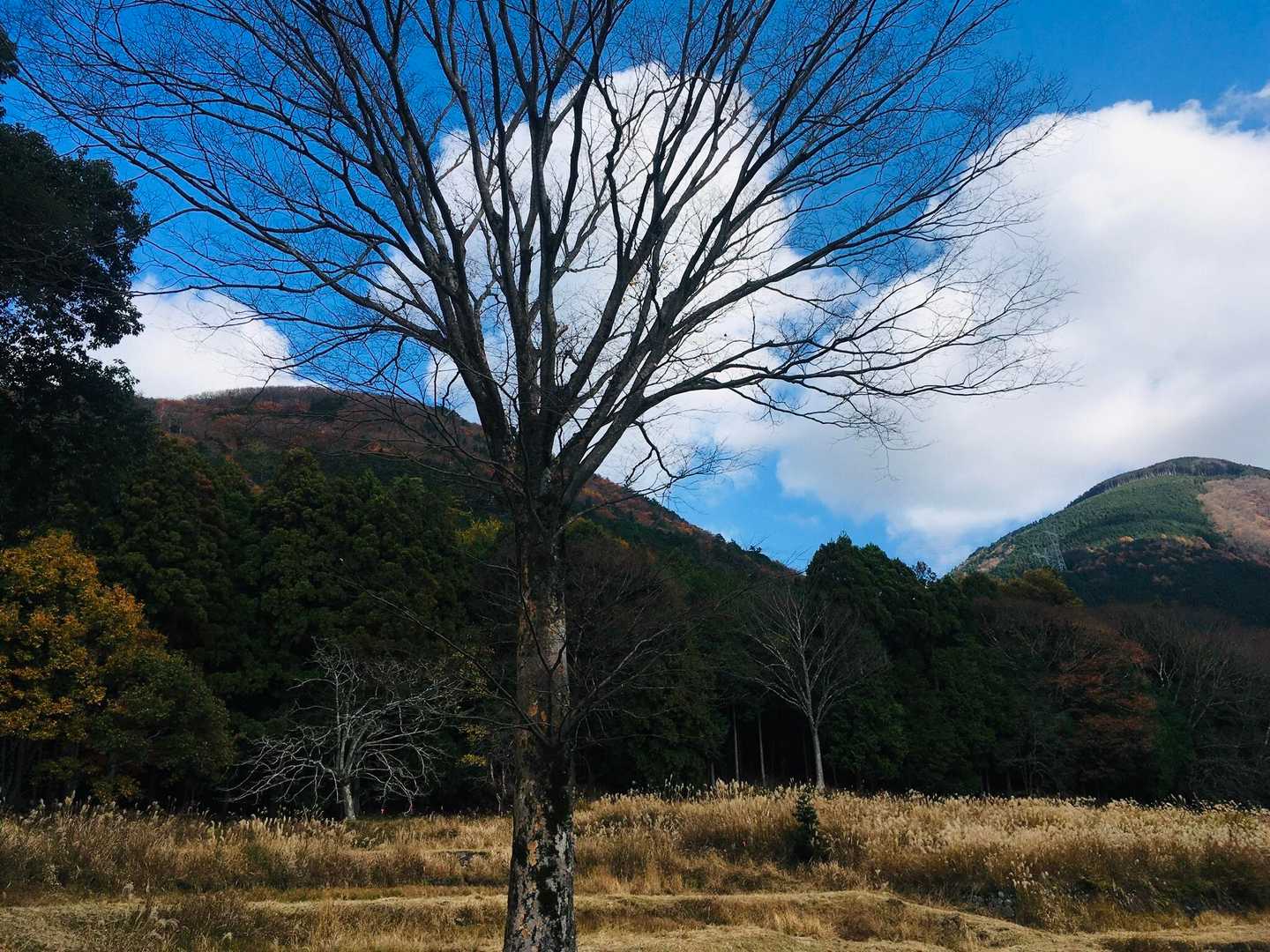 竜王と綿向