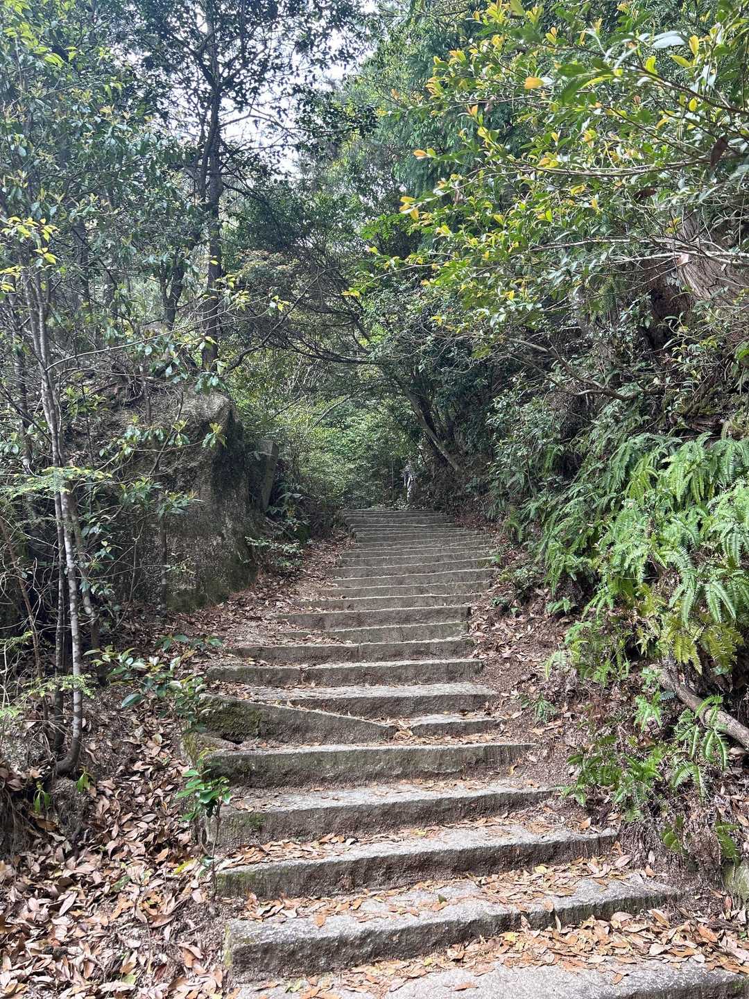 弥山 周回コースの写真