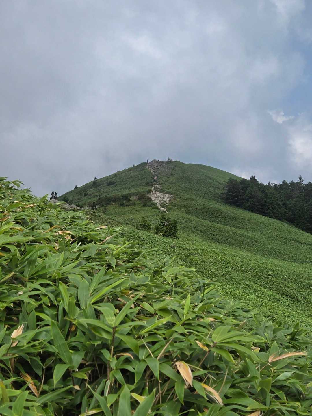 先程から暗い雲と冷たい風が吹いてくる🔃
山頂も雲が掛かってるね
山頂まで行くと下山の高原バスの時刻に間に合わない😰
残念だけれどここで撤収😭
笹原で遊び過ぎたかなw