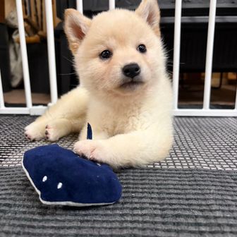 たっちゃん