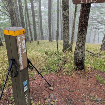 ✌️山頂！　展望のない所ですが、落ち着いた良い雰囲気の山頂です👍　ココでしばし休憩…🍙🫓☕