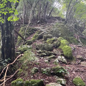あともう少しで山頂