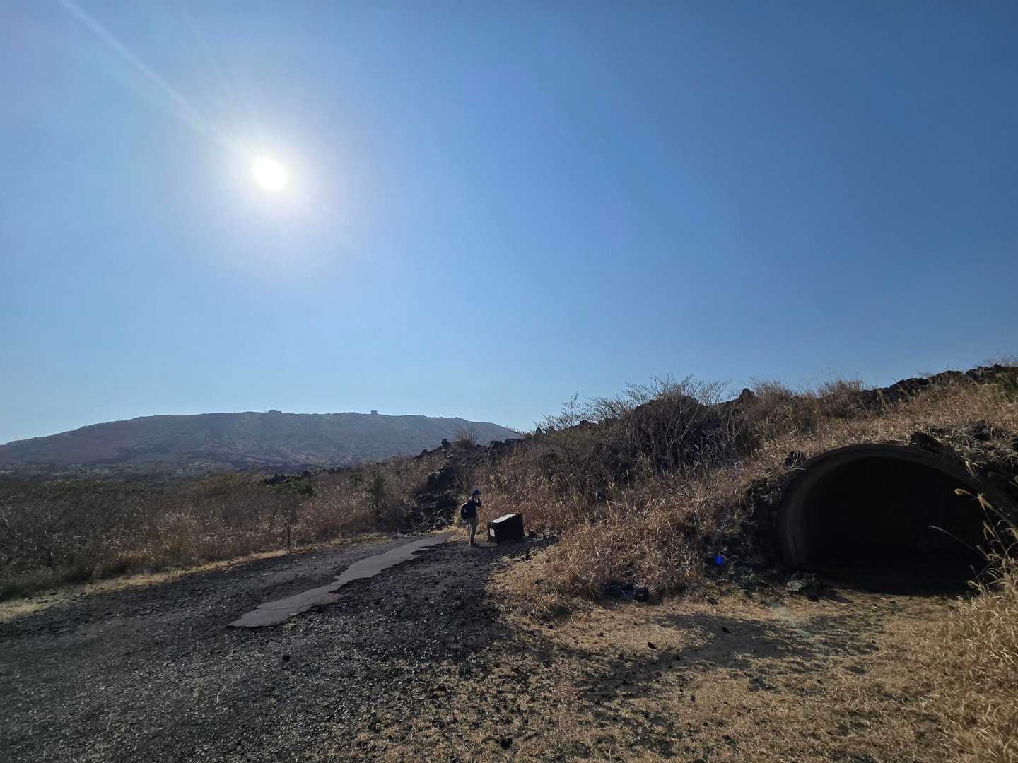 三原山頂口バス停発着｜三原山お鉢巡りコースの写真