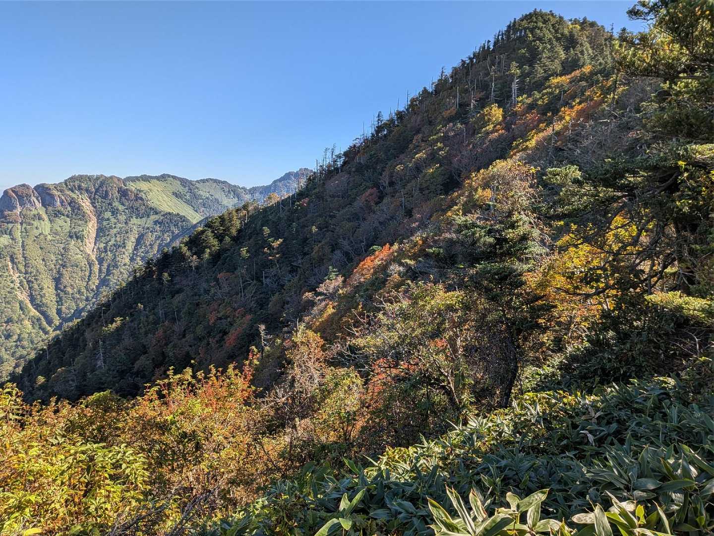 高瀑渓谷側は紅葉