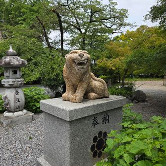 戻ってきました
狛犬の代わりに🐅虎