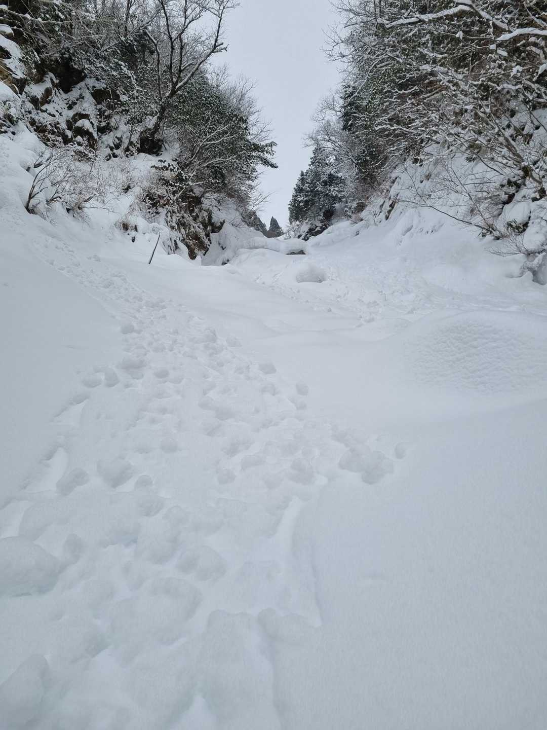 詰めます