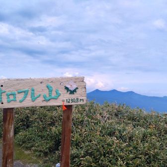 やっと山頂

徳舜瞥山〜ホロホロ山〜オロオロ山
昨日はあの裏側に10時間いました…