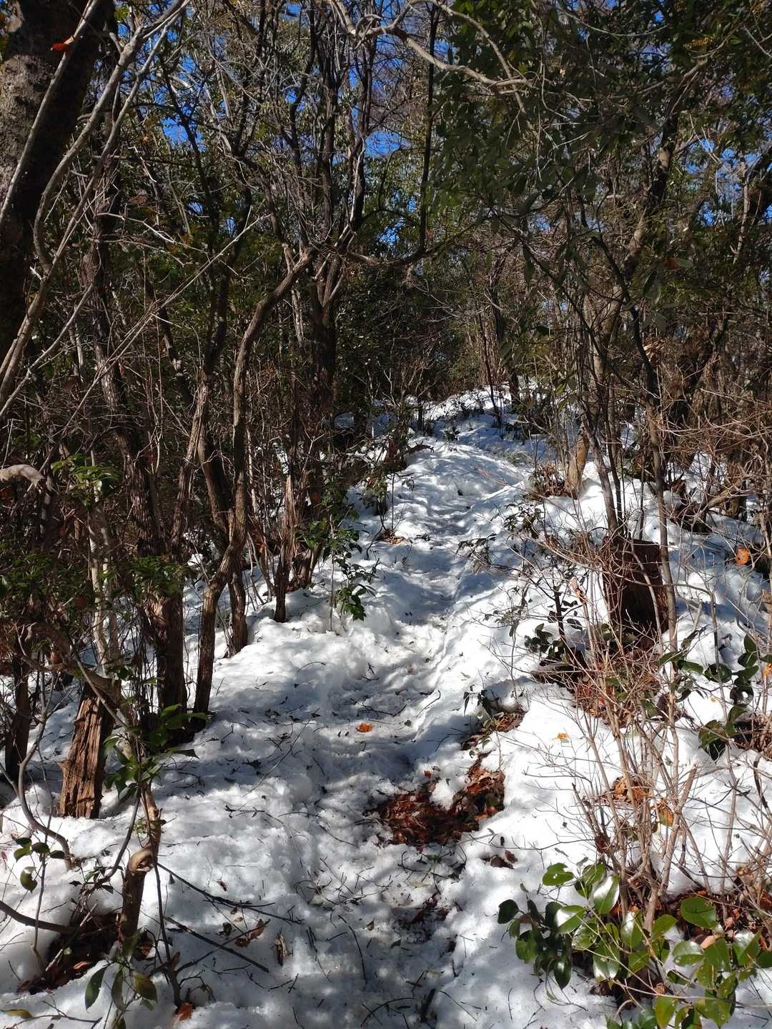 続いて白山に向かいます❗️
白山まではなかなかの雪道❄