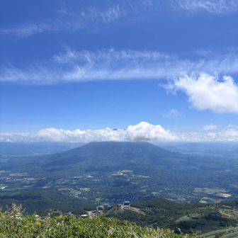 今日は羊蹄山は、ずっと雲隠れしたままでした