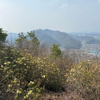 天神山は静かで、景色も居心地もよくて
いつも来たくなる☺️