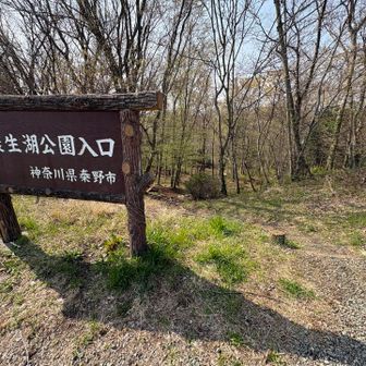 震生湖に寄り道