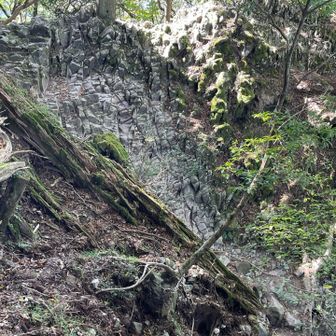 振り返ると急だなあ