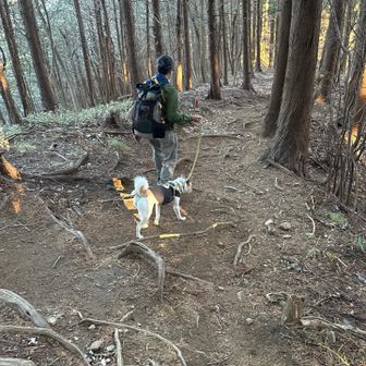 チョイと頑張る💪