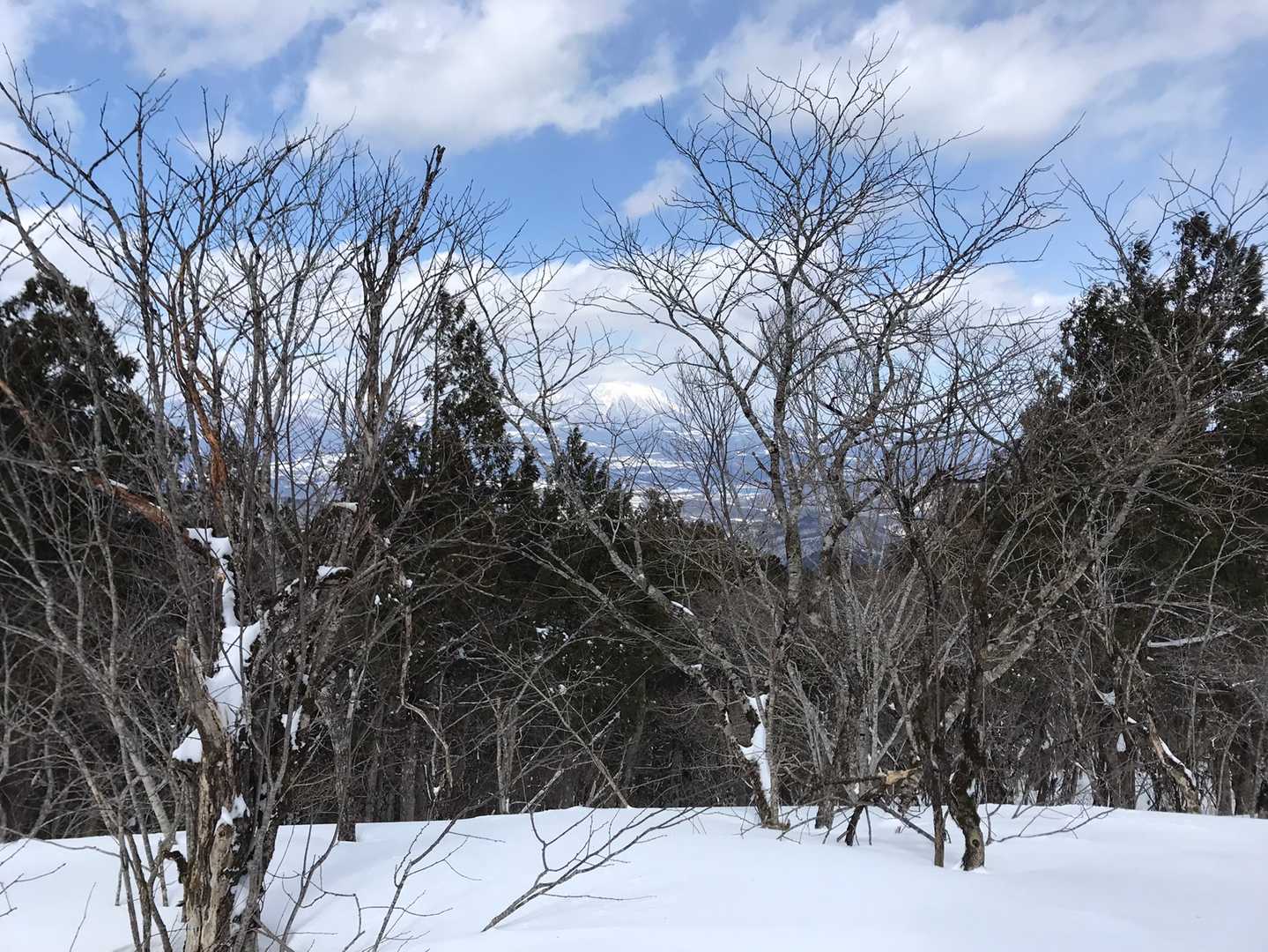 岩手山の雲も取れ木々の合間から見えました。
