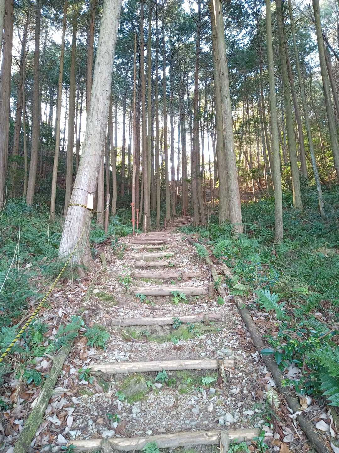 ココも細かく階段が設置されている
