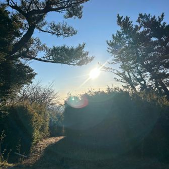 明星ヶ岳で朝陽☀️をたっぷりと味わいます