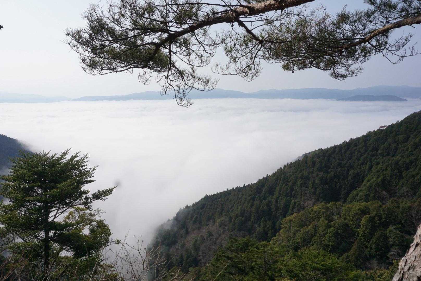 展望台に上がると、
おお〜✨
一面の雲海〜🤩