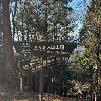 蓑毛越。ベンチアリ