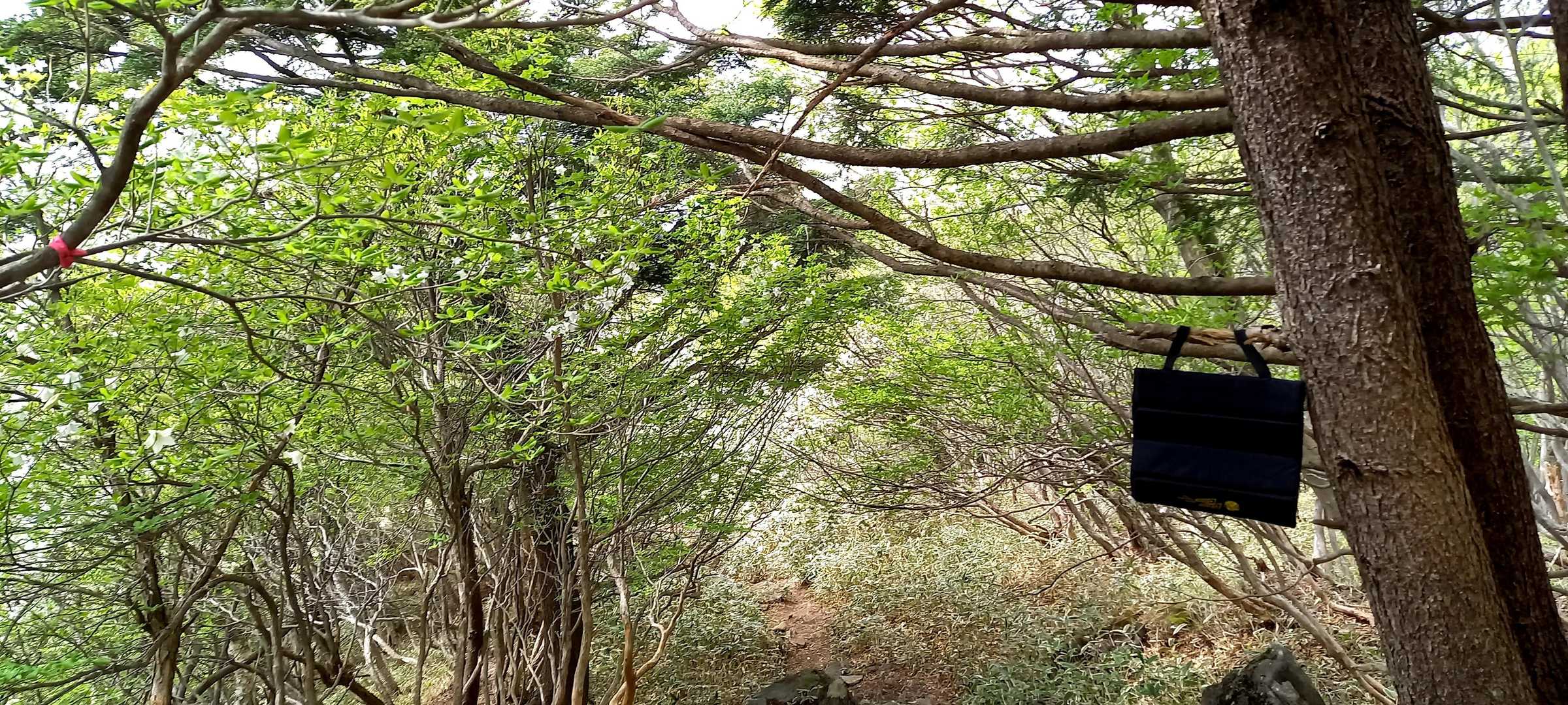 落とし物かけておいたけど下山時なかった⁉️
落とし主に戻れたかな😊