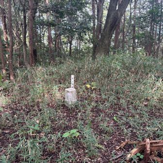 和田山（北山）ピーク