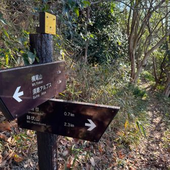 栂尾山へ
看板にはありませんが
奥の文太郎道を行きます💪