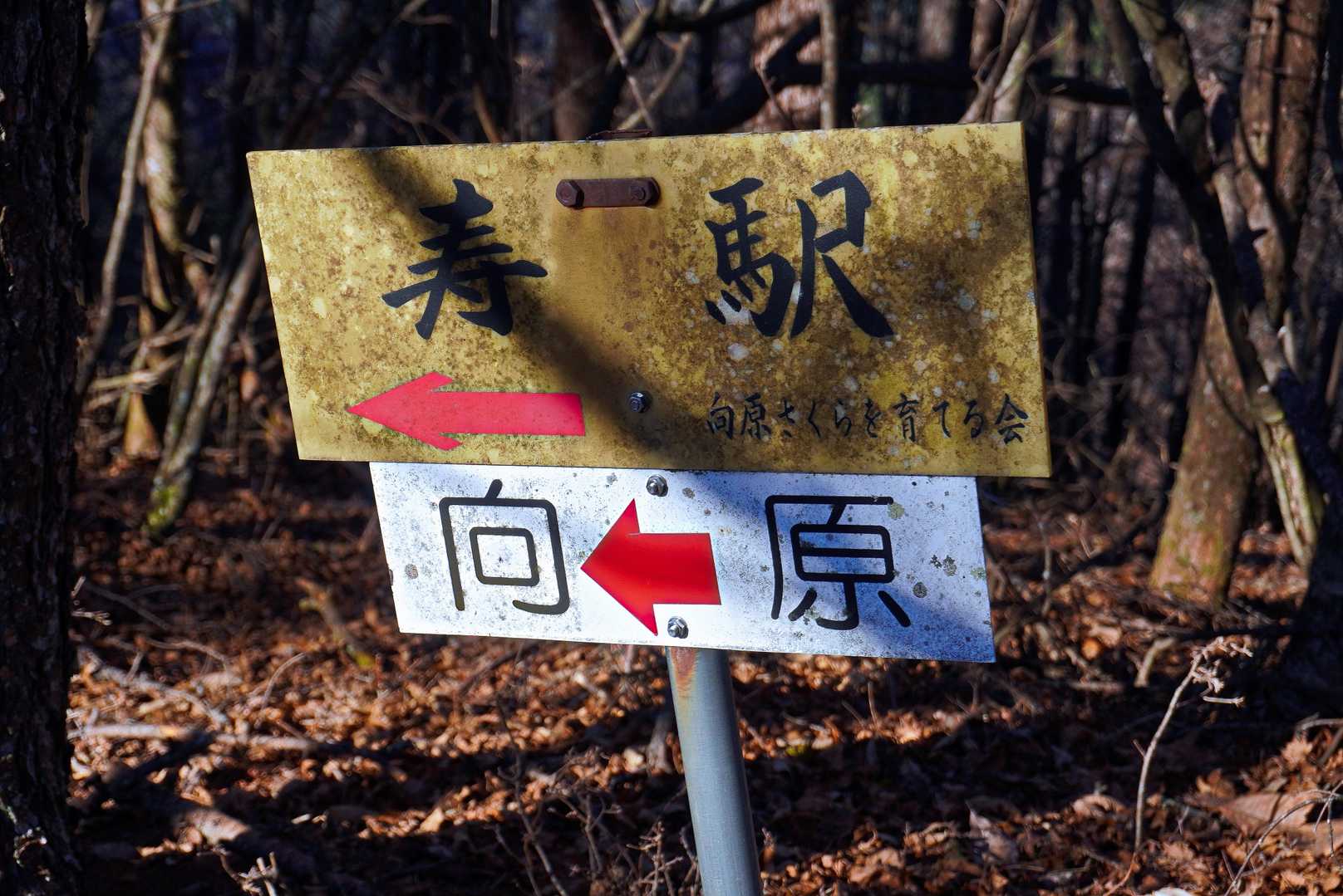 寿駅へ下山◀️