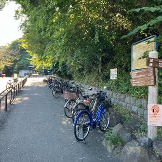 平日の午後は自転車も少ないですね…😲