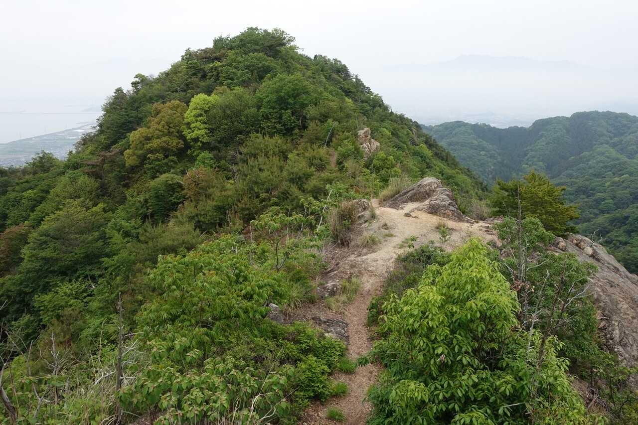 世田山の写真