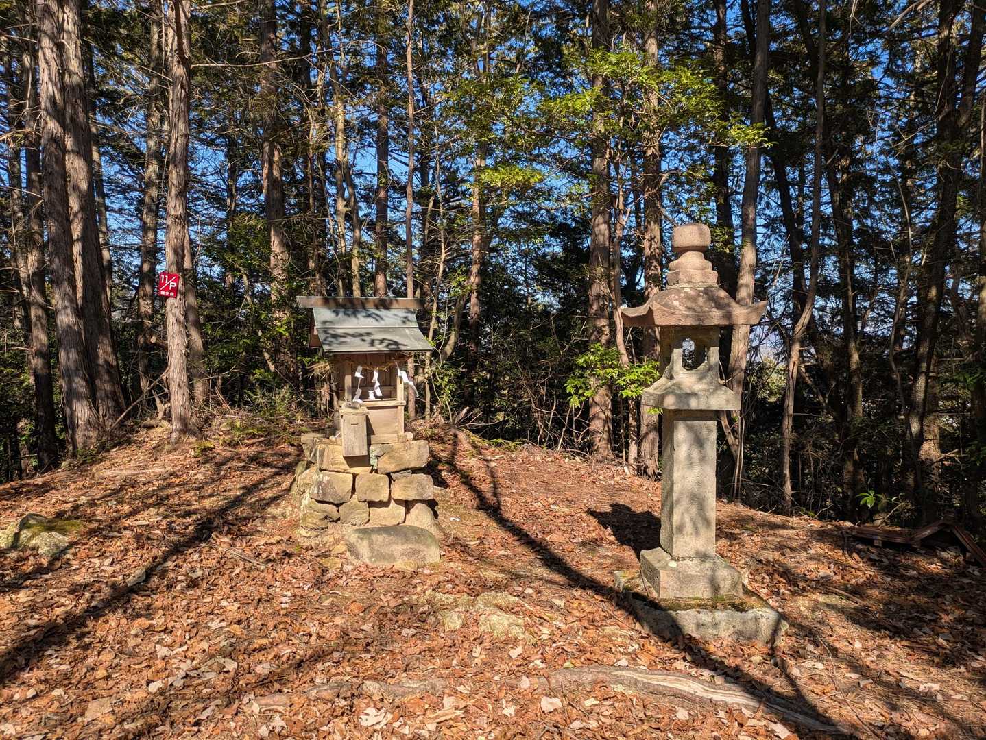 結構、立派な祠がありました。
お参りしておこう🙏