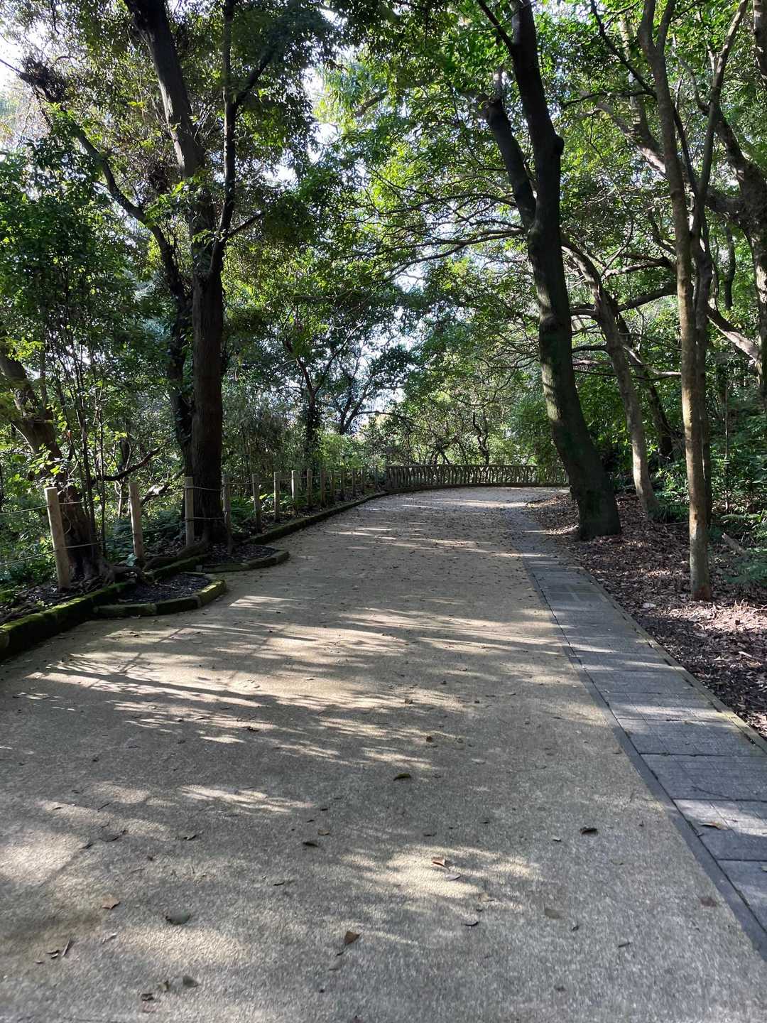 遊歩道を下ります