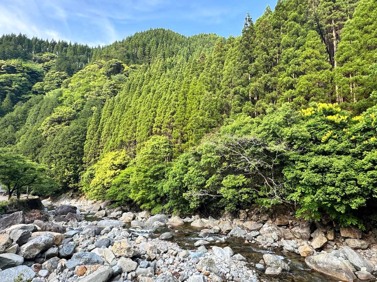 傾山-九折越 周回コースの写真
