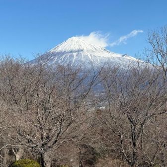 岩本山展望台に上って富士山