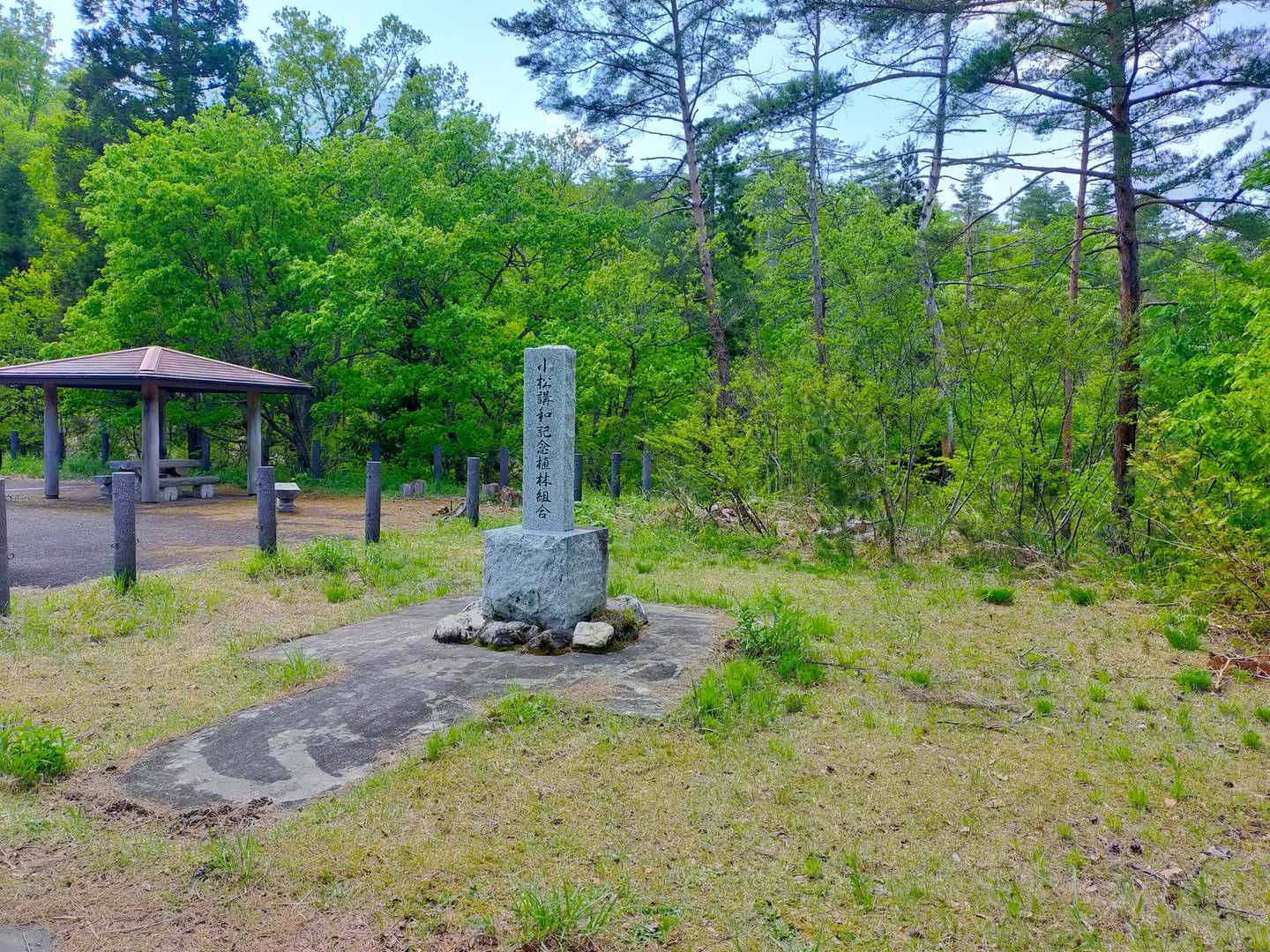 高戸屋山 周回コースの写真