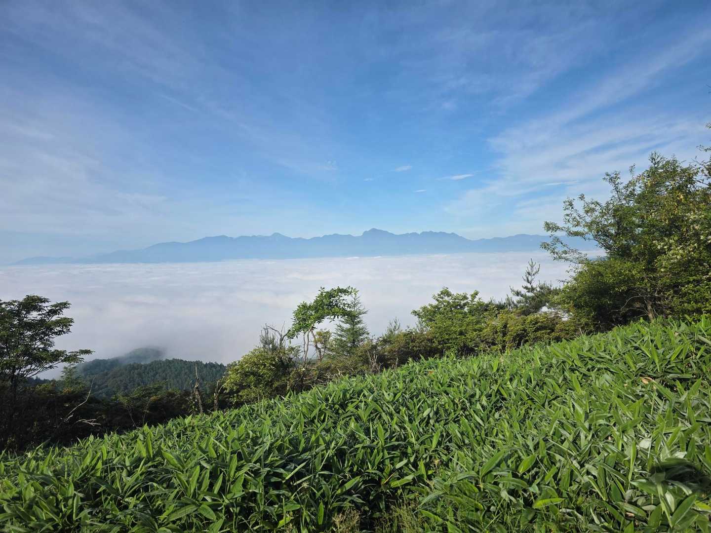 飯盛山 | 八ヶ岳や富士山を望む草原の山歩道。下山後の清里グルメをご褒美にの写真