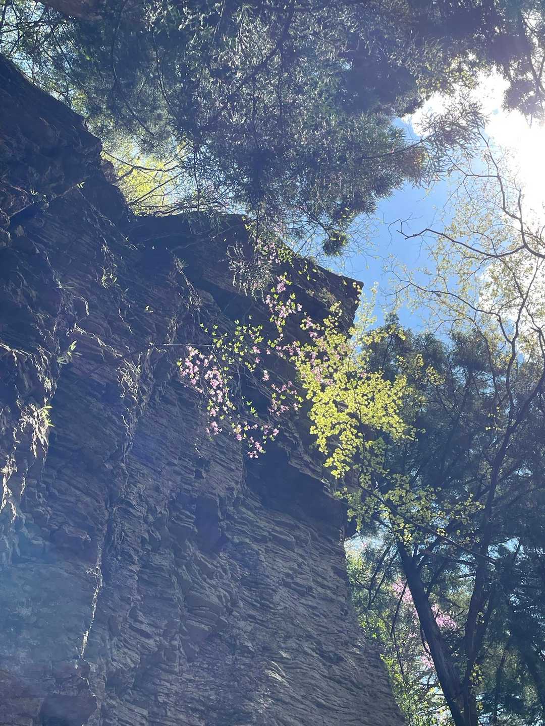 三ッ岩岳登山口-三ッ岩岳 往復コースの写真