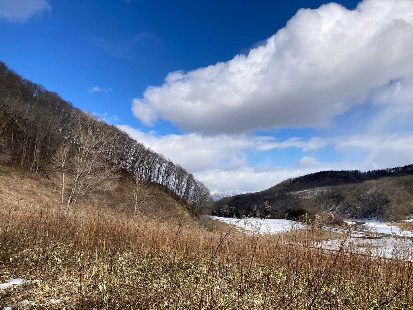 　　　　おかわり『賀張山』🏔️
　　　牧場🐎の横から登ります。