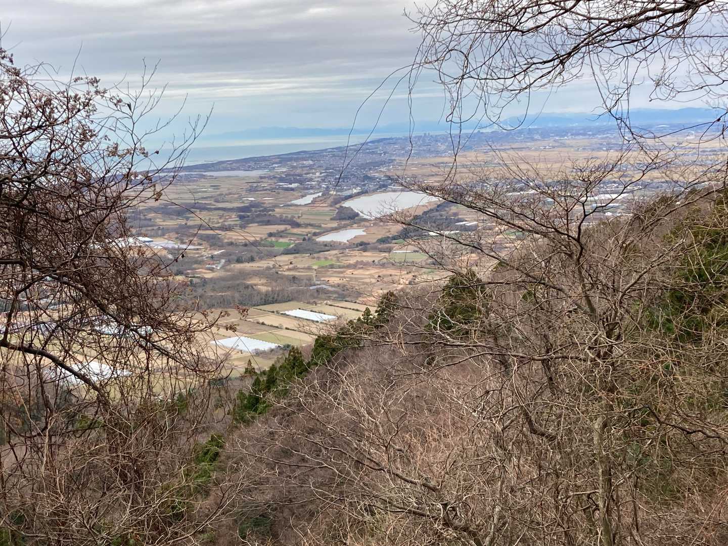 宮前コース登山口-角田山 往復コースの写真