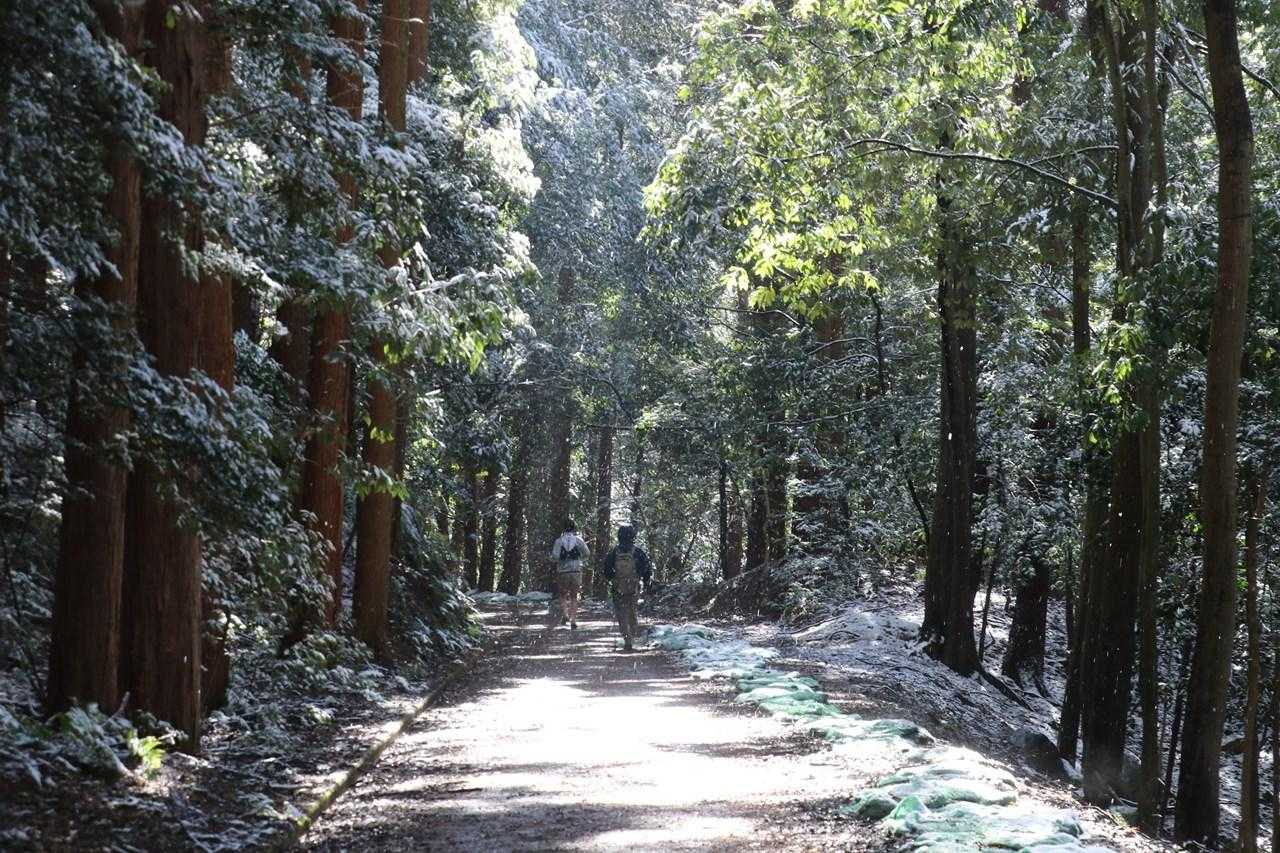 雨のように落ちて来る融けた雪の中、駐車場へ向かいます。