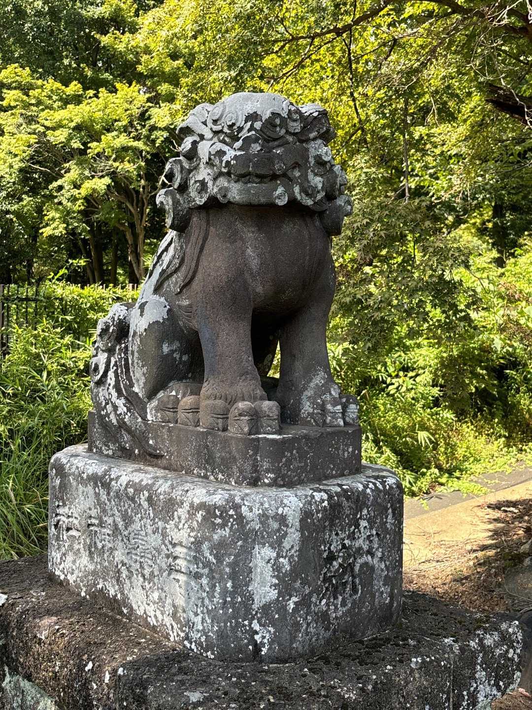 また来ますので、その時も宜しくお願いします😊