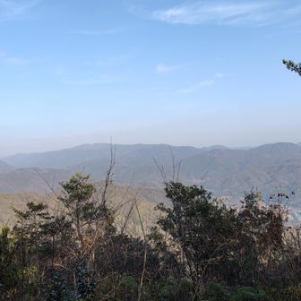 山頂からの景色。