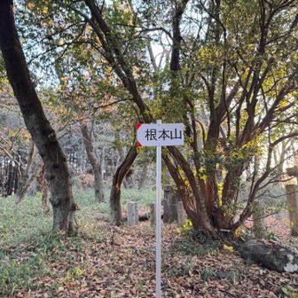 　しばらくロードを歩き根本山、四等三角点「日大」322.22m、付近には日大明誠高校がある。
　道標も整備され、草もよく刈られていた。